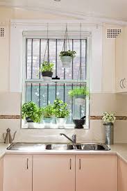 Ganz Einfach Krauter In Der Kuche Pflanzen Kuchenpflanzen Kuchen Fensterbank Fensterpflanzen