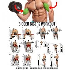 Biceps Workout Step By Step Guide Biceps Training Biceps
