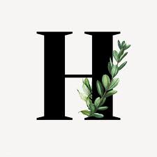 Download Premium Illustration Of Botanical Capital Letter H Illustration Lettering Alphabet Fonts Lettering Alphabet Alphabet Wallpaper