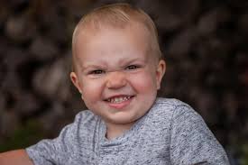 Mallory Lauren Photography