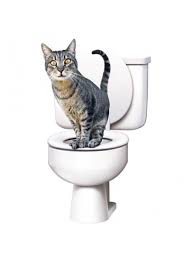 Citikitty Kedi Klozet Egitim Seti 2020 Kedi Kopek Aksesuarlari Tuvaletler