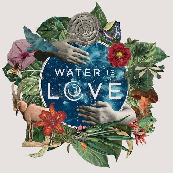 Screening of Water Is Love: Ripples of Regeneration - Cambridge Past, Present & Future