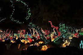 Our neighbors decorated some of the cactus in their yard with holiday lights last year. Ethel M Chocolate Factory In Las Vegas At Christmas Time Las Vegas Christmas Christmas In La Holiday Cactus