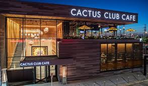 Cf sherway gardens contains 204 stores, restaurants, services. Cactus Club Cafe Sherway Gardens Toronto Islington City Centre West Menu Preise Restaurant Bewertungen Tripadvisor