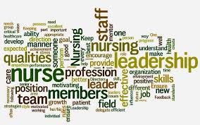 Diary Of A Nursing Student Nursing Students Student Nurses Association Nursing Leadership