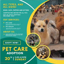 Green Pet Adoption Service Video Ad Pet Adoption Adoption Pets