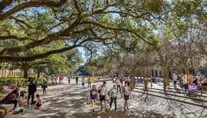 LSU Fraternity Nonprofit Gives $160K in Scholarships to Students