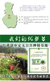 新鲜生姜怀姜怀姜糖膏原料月子姜小黄姜土姜新鲜老姜上庄姜包邮 淘宝网 map map screenshot screenshots