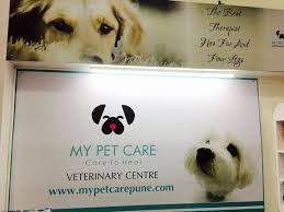 As companion animal hospital of norridge, we proudly offer the latest and best in veterinary medicine, patient care, and customer service. Companion Pet Clinic Pet Shoppe Veterinary Doctors Book Appointment Online Veterinary Doctors In Katraj Pune Justdial