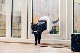 Buy cat standard door and get the best deals at the lowest prices on ebay! 2021 S Best Smart Pet Doors And Why You Should Have One