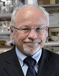 Dr. Steve Soper receives a Higuchi-KU Endowment Research Achievement Award 