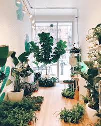 24 Plant Shops That Will Attract Any Plant Lover Dalla Vita Plants Plant Lover Little Plants