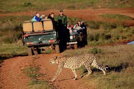 Albertinia Accommodation Find A Bed And Breakfast Farm Stay Self Cater