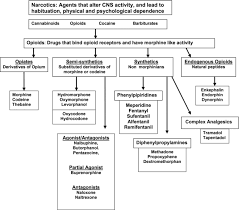 Portable fire extinguishers are only classified by the type of extinguishing agent used. Oral And Parenteral Opioid Analgesics For Acute Pain Management Chapter 13 Acute Pain Management