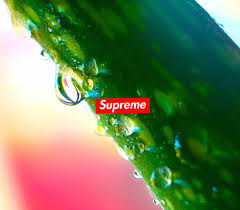 See more ideas about supreme wallpaper, supreme wallpaper hd, wallpaper. Green Supreme Wallpaper Hd Download