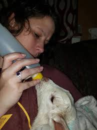 Losing my baby is the hardest thing I've ever had to deal with 🥺🥺💔💔