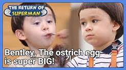 Kbs2 is a south korean tv channel that airs news, entertainment and drama programs. Qu3erh4qkx6ztm