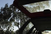 You have two possible explanations for why you are locked in a car trunk: Low Angle View Of Open Car Trunk Outdoors Travel Victoria Stock Photo 171996262