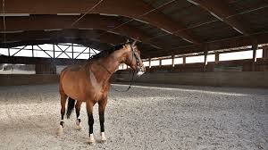 Sign up free today and meet singles near you now! Equestrian Use With Ecoraster