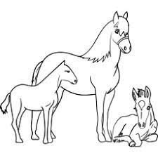 Horses in love coloring page. Top 55 Free Printable Horse Coloring Pages Online