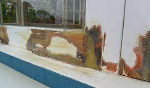 However, there are a few key signs to look for. Repair Care Repairing Rot In Wooden Window Frames