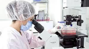 Distribucion asimétrico simetrico/difuso esclerosis multiple esclerosis multiple. Avances Previstos Para Los Proximos 5 Anos En Esclerosis Multiple Informacion De Interes Sobre Diversidad Funcional Salud Y Bienestar