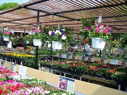 And we're dedicated to making sure you are completely satisfied as our customer. Florist Huntington Nursery Florist