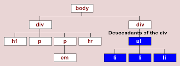 HTML Document Tree