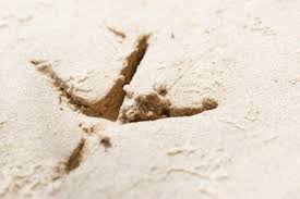 I see… he started, short of. Deep Bird Footprint In The Sand Texture