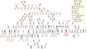 Mbaits provide physicians with a marker to identify individuals who may carry germline bap1 mutations and thus are at high risk of developing associated cancers. Combined Genetic And Genealogic Studies Uncover A Large Bap1 Cancer Syndrome Kindred Tracing Back Nine Generations To A Common Ancestor From The 1700s