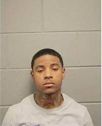 ᐅ Illinois Criminal Records 2009-2025