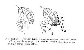 The name jack is originally derived from the medieval english name jackin which was a nickname of johnkin. Words That Rhyme With Orange Purple Silver And Month