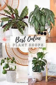 Best Online Plant Shops For Indoor Houseplants In 2020 Plant Decor Indoor Houseplants Indoor Plant Display Ideas
