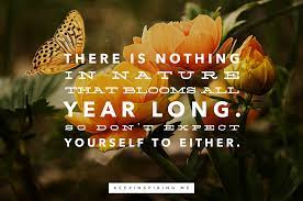 Pin On Inspirational Quotes