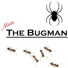 Termite control services in santa fe, los alamos, espanola, white rock, taos and albuquerque, nm. Alias The Bugman 37 Photos Pest Control Service