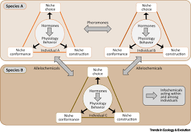 Nanotechnology and their application in insect this technology play a significant role in agriculture fields in multiple ways to control pest and ultimately enhance crops quality and quantity.given below. The Power Of Infochemicals In Mediating Individualized Niches Trends In Ecology Evolution