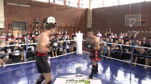 We did not find results for: Videos Legales Hooligan Turnier In Ungarn Faszination Fankurve