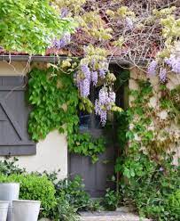 Early May In The Garden My French Country Home My French Country Home French Country House French Country