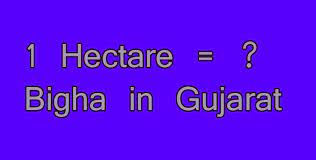 Alte posibile dimensiuni ale unui teren de 1 hectar 1 Hectare Bigha In Gujarat Simple Converter