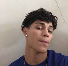 Bryan Pacheco (bryanpachecoarellano22)