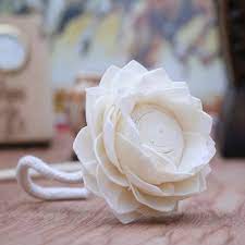 We are here to help you grow your business in any way that we can! Wholesale Dried Sola Wood Flowers For Air Fragrance Buy Sola Flowers Dried Flowers Sola Wood Flowers Product On Alibaba Com