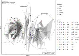 This tutorial let's you see the steps to take in order to turn a word problem involving a blueprint into a proportion. Robustness Analysis Of Metabolic Predictions In Algal Microbial Communities Based On Different Annotation Pipelines Peerj