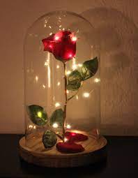 Geburtstag und bevor eine magische rose verblüht ist, wahrhaftig verliebt. Selbst Gebastelte Verzauberte Rose Aus Die Schone Und Das Biest Glasglocke Von Ernsting S Family Reduziert Auf Disney Room Decor Enchanted Rose Flower Lamp