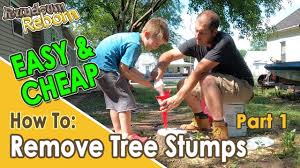 This diy tree stump removal is as easy as it is inexpensive. Diy Easiest And Cheapest Tree Stump Removal Using Epsom Salt Youtube