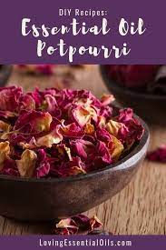 Maybe you would like to learn more about one of these? Essential Oil Potpourri With Rose Petals Diy Recipe By Loving Essential Oils Learn How To Make This Simp Potpourri Recipes Homemade Potpourri Dried Potpourri