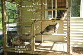 build an all season outdoor cat habitat cat playground outdoor outdoor cat habitat cat habitat
