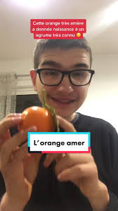 #collage avec @Two Passports Cette orange est presente partout à Séville en  Espagne 🇪🇸🍊 #tiktokacademie #pourtoi #foryou #orange #bigarade #seville  #espagne #agrumes #fruits #education #aprentissage ...
