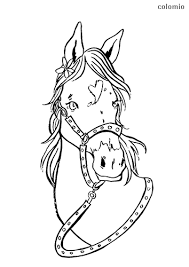 Horses such regal beasts can win the heart of any showman animal lover or anyone with a general respect for nature. Horses Coloring Pages Free Printable Horse Coloring Sheets