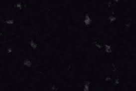 I hope you understood how to add glitter Download Free Sparkle Video Overlays