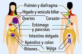 Cervicalgia. Un síntoma muy frecuente. Conócela al detalle.